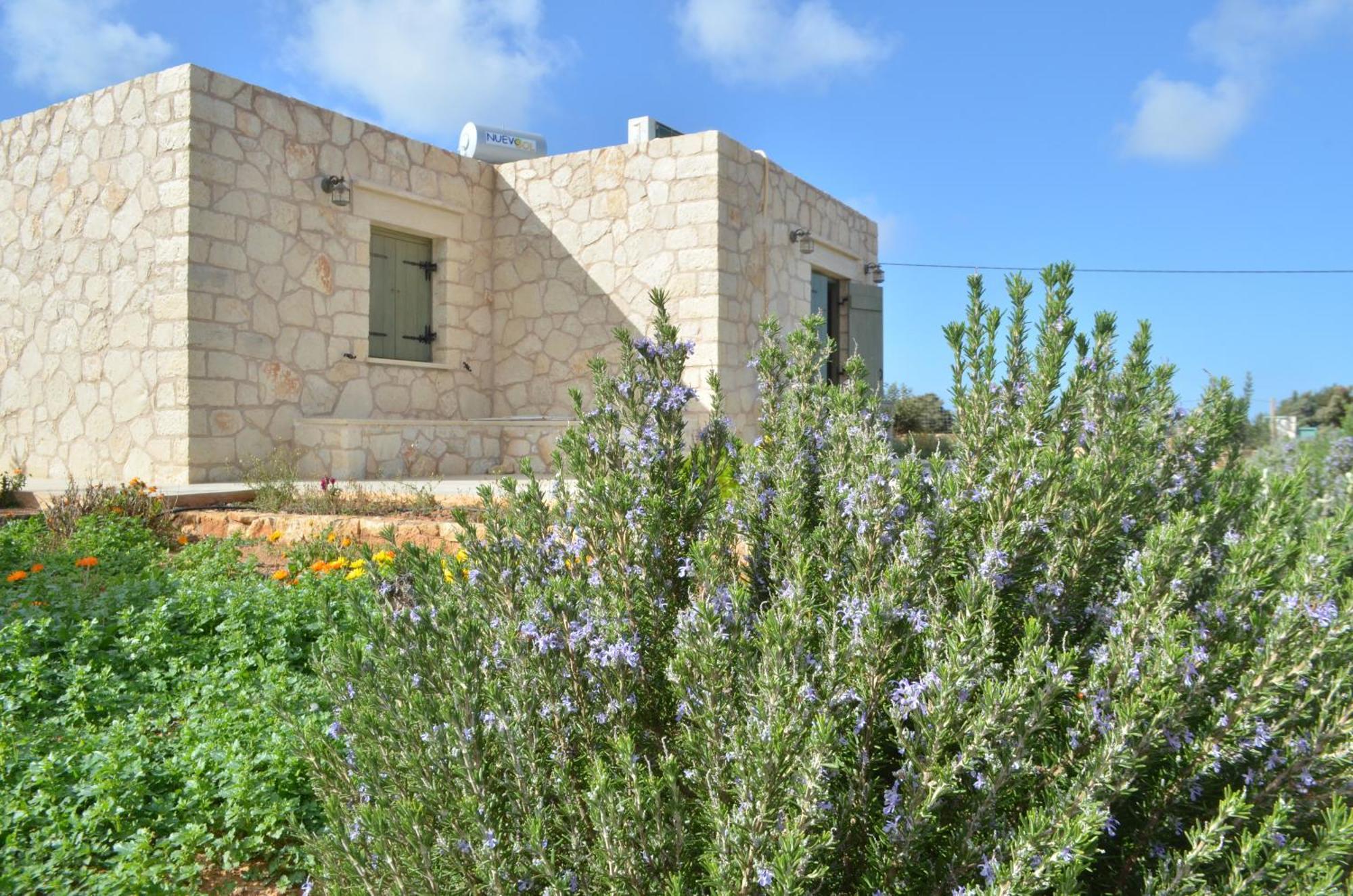 Kalypso Apartments Kastríon المظهر الخارجي الصورة